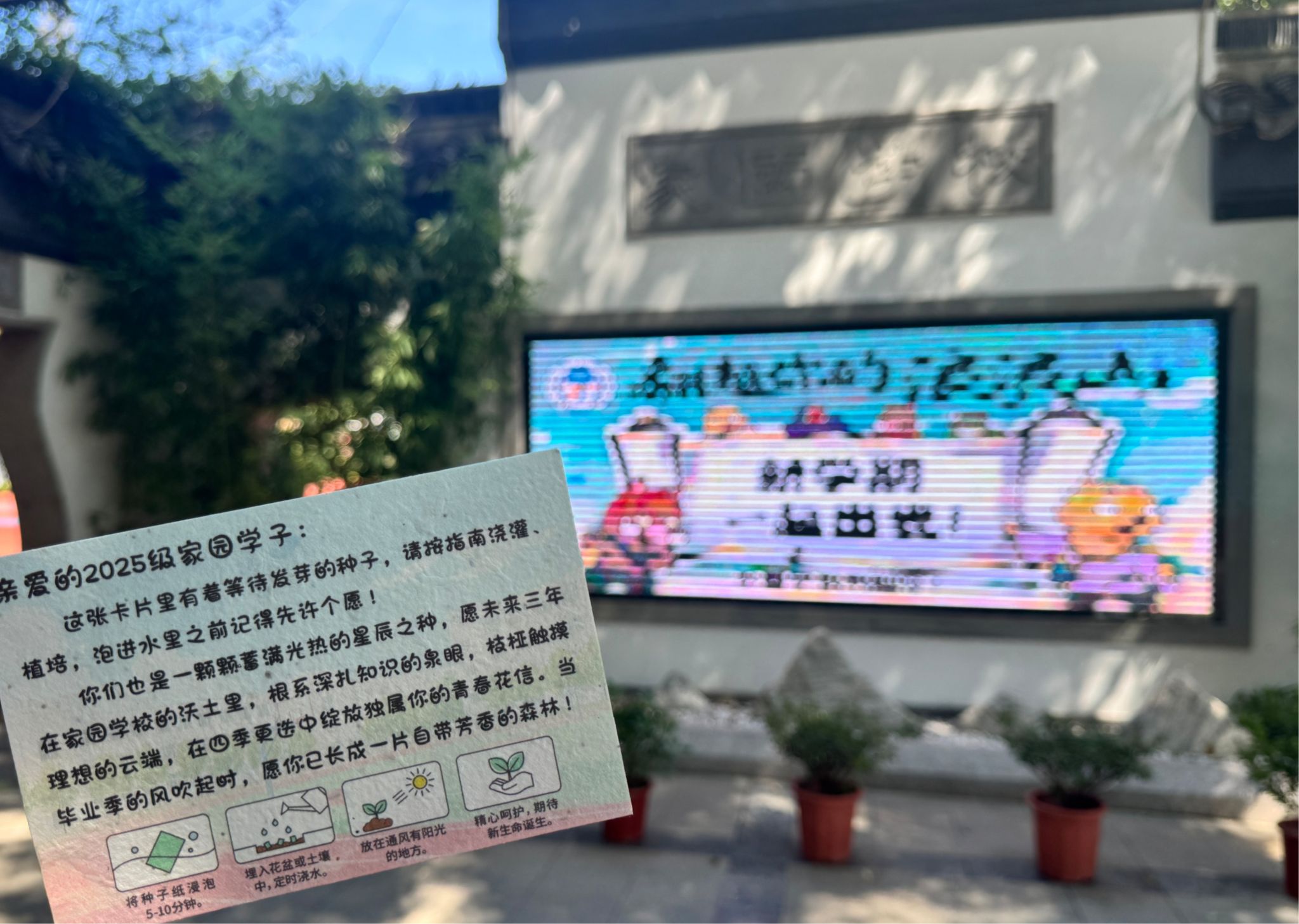 家园小萌新报到啦！初一新生开启校园新旅程，这些温暖瞬间值得珍藏